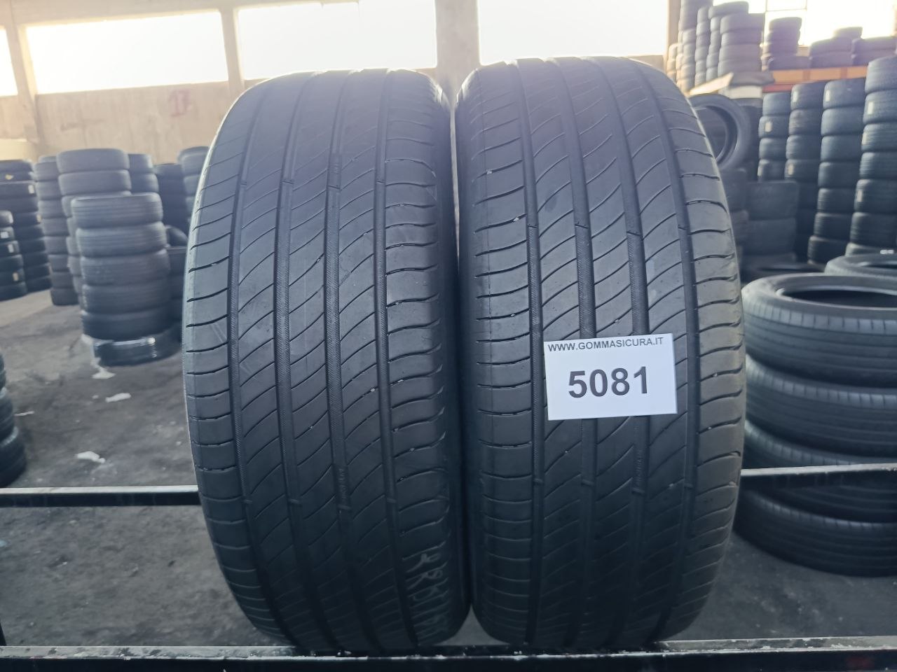 225/55r19 michelin